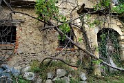 86 Le piante rampicanti libere di avvolgere l'antica casa